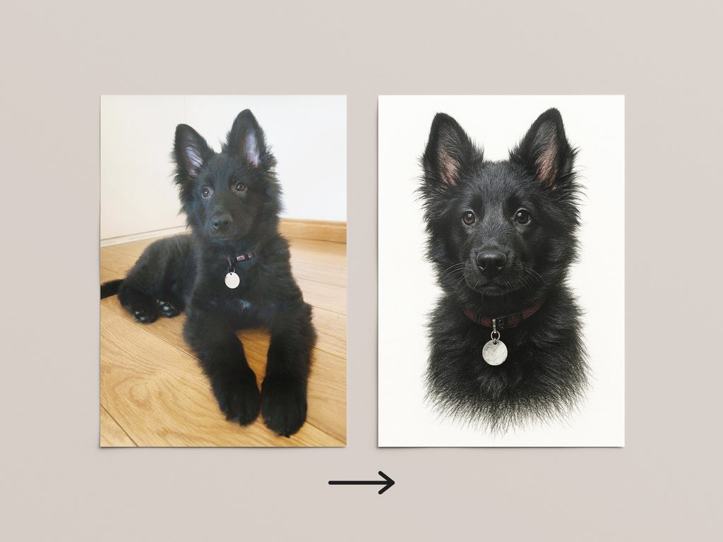 Your dog portrait - Sketch