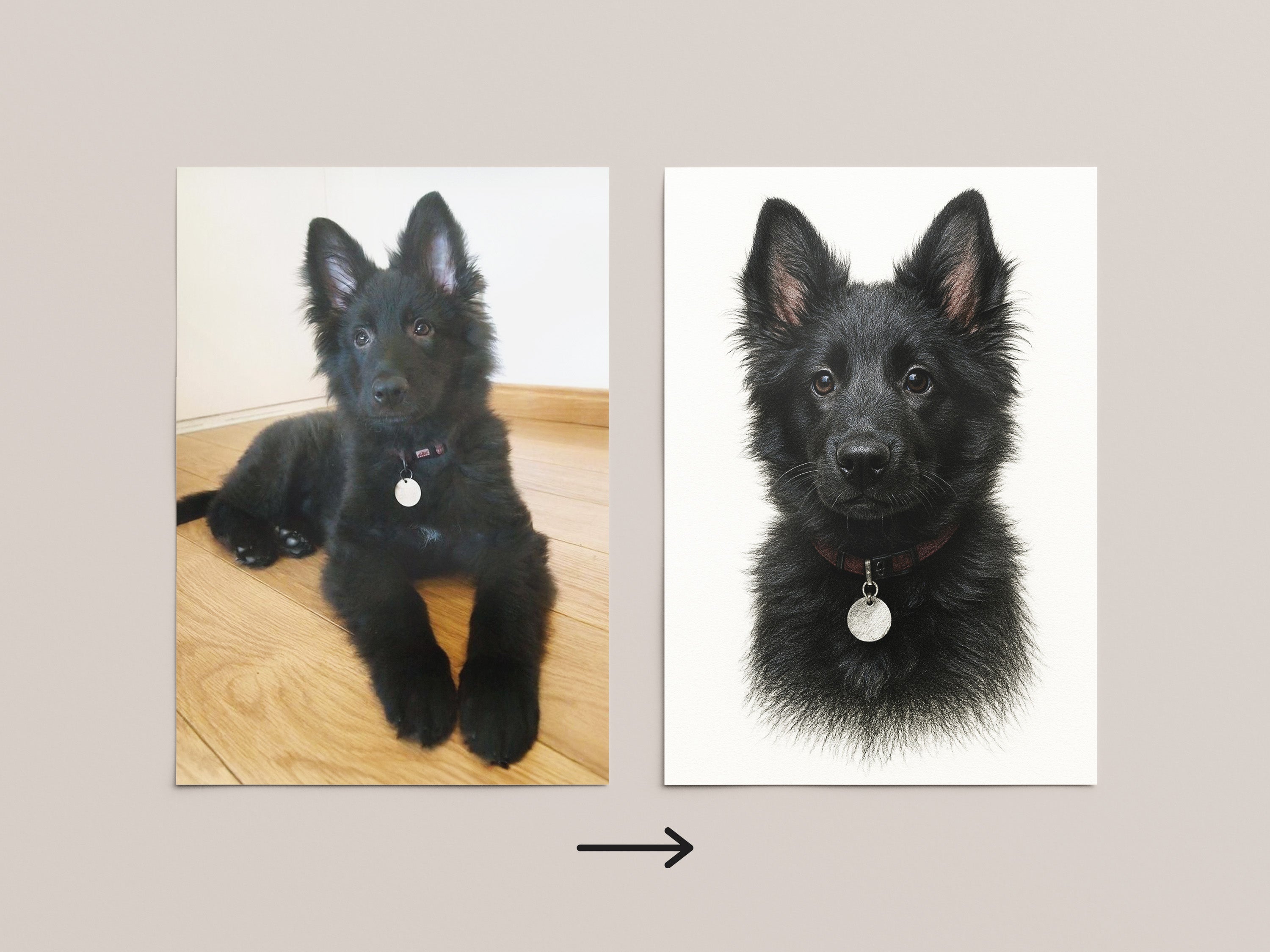 Your dog portrait - Sketch